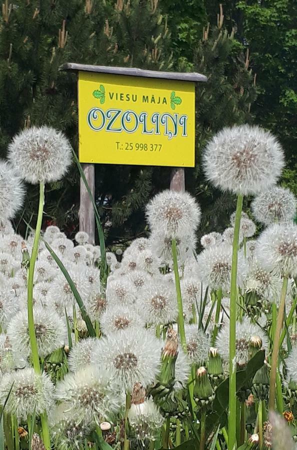 Viesu Maja "Ozolini" Jurkalne Exterior foto